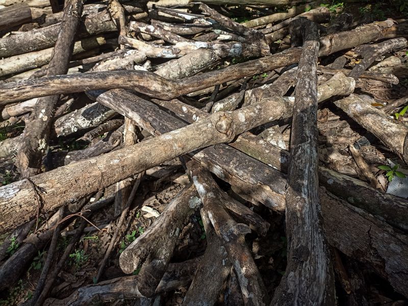 Debris Removal Process