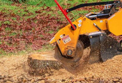 Stump Grinding Solutions