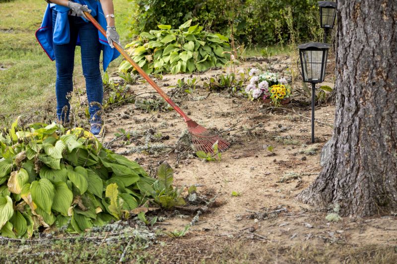 Executing the Project