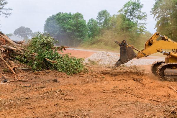 Cost of Ground Clearing in Eugene