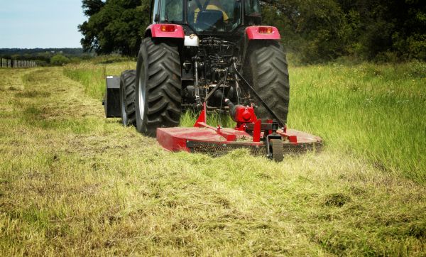Cost of Brush Clearing Service in Eugene