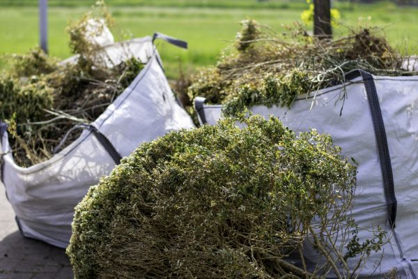 Cost of Bushes Clearing in Eugene