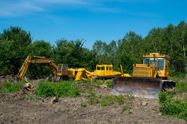 Cost of Bulldozer Clearing in Eugene